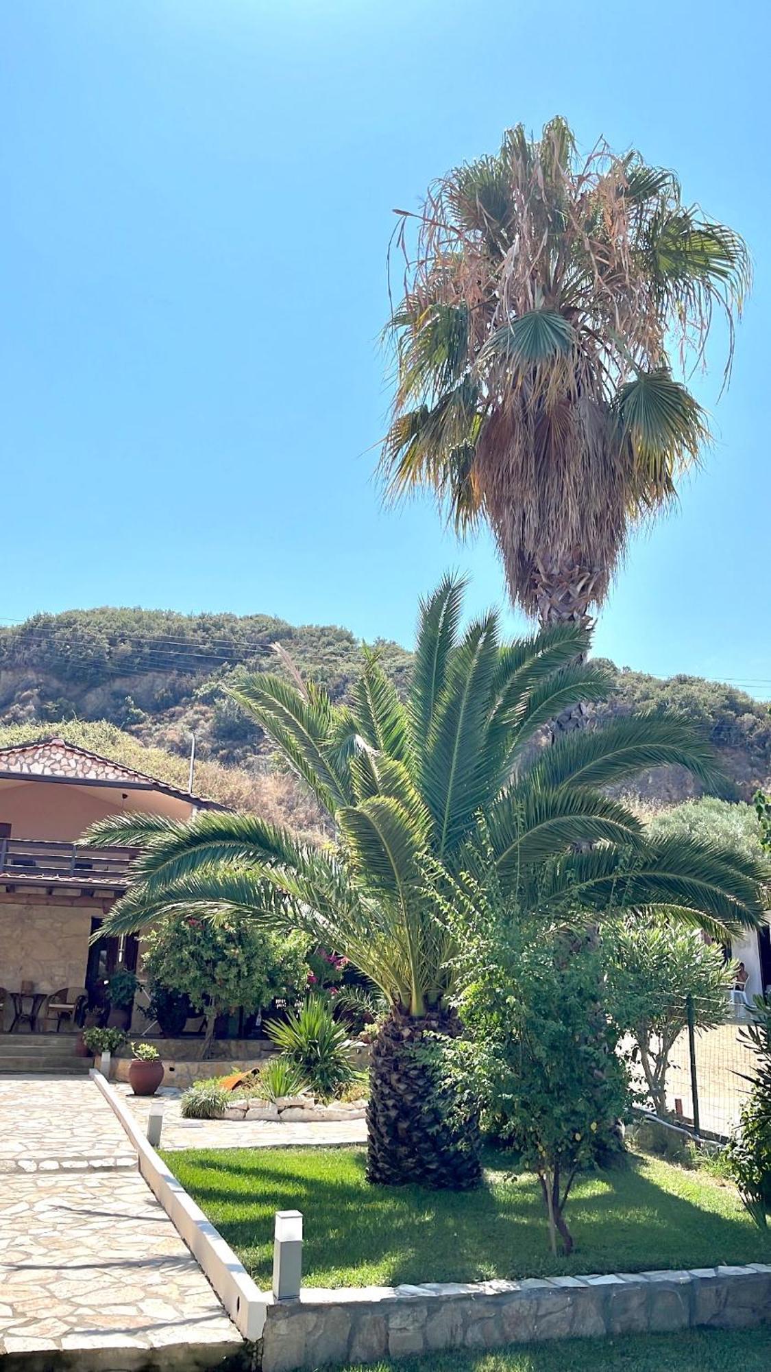 Palma Beach House Sarti Zewnętrze zdjęcie