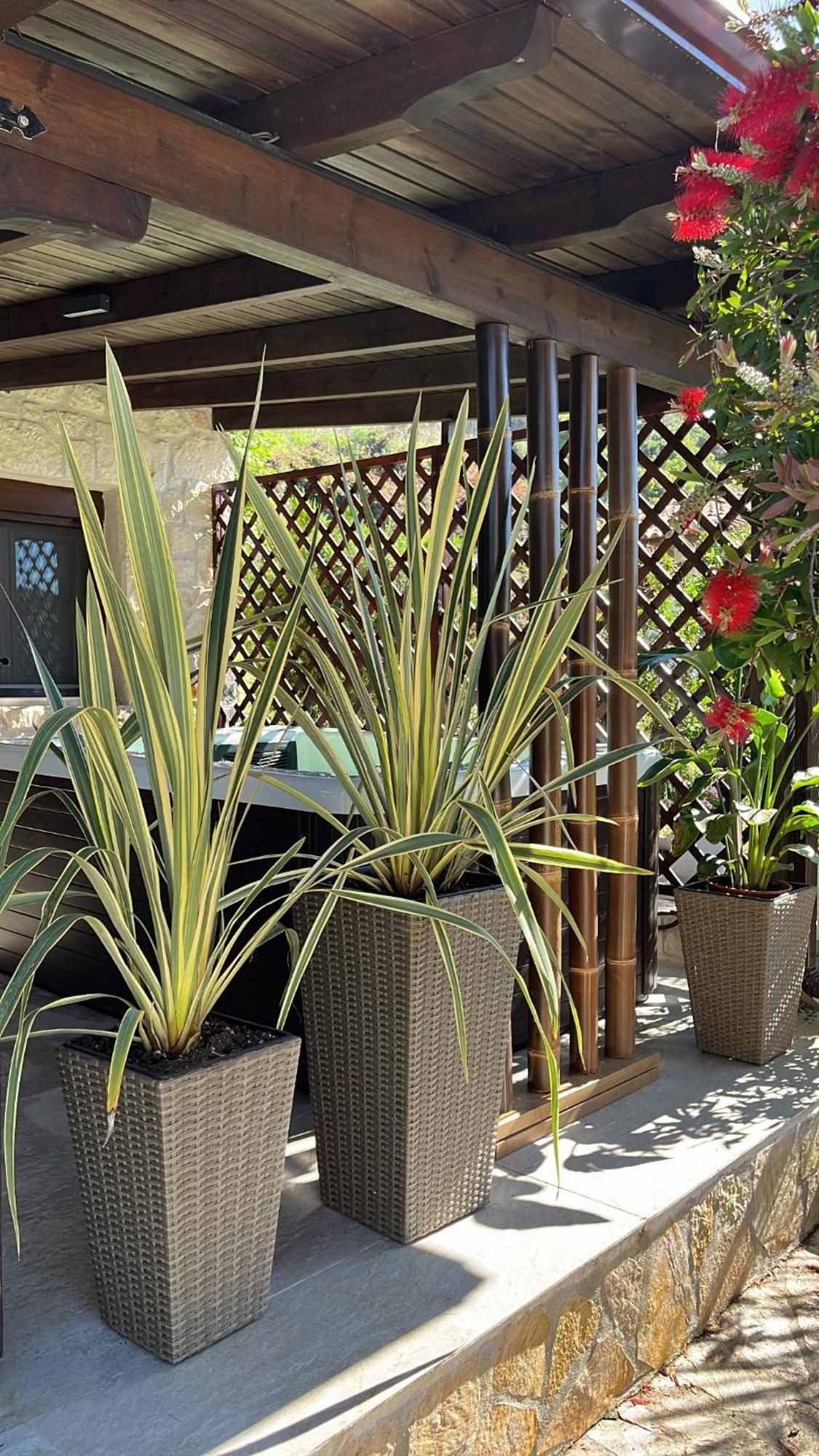 Palma Beach House Sarti Zewnętrze zdjęcie